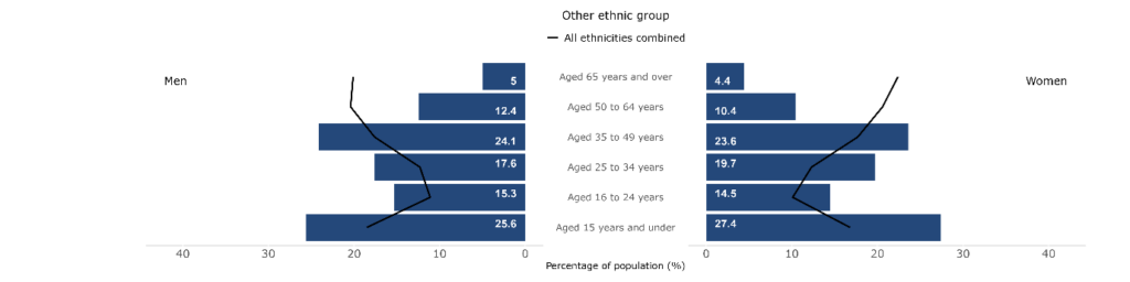 Population breakdowns for each ethnic group analysed by sex and age group in Wales, 2021, Other