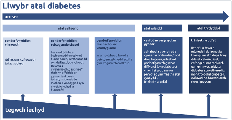 y llwybr atal diabetes, sy'n dangos meysydd ar gyfer atal sylfaenol, eilaidd a thrydyddol