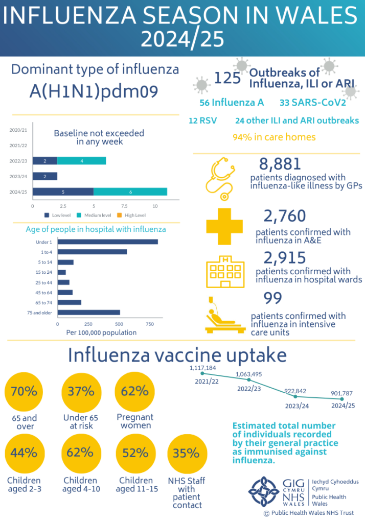 Infographic showing influenza season in Wales 2024–25, including dominant strain (A(H1N1)pdm09), outbreaks, hospitalisation rates, and vaccine uptake by age group and risk category.