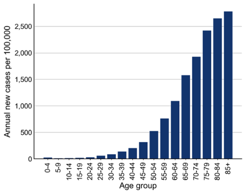 Bar chart showing annual new cases per 100,000 people by age group, with rates rising sharply with age. The x-axis lists age groups from 0–4 through 85+, and the y-axis ranges from 0 to about 2,800 cases per 100,000. Bars are very low for children and young adults (under about 100 per 100,000 up to age 30), then increase steadily from roughly 150–500 in the 35–54 range, rise more steeply after age 55 (around 750–1,600), and peak in older adults, reaching approximately 2,400 for ages 75–79, 2,600 for ages 80–84, and about 2,800 for 85+.