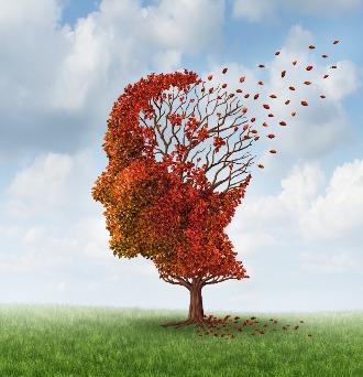 Tree shaped like a human head with autumn leaves blowing away in a grassy field, symbolizing thoughts or memory