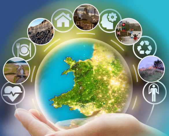 Global sustainability concept: a hand supports a glowing Earth surrounded by circular icons for environment and eco-friendly activities.