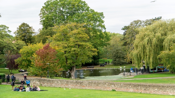 Park scene with a stone wall along a pond, people sitting on the grass under green trees and ducks on the water.