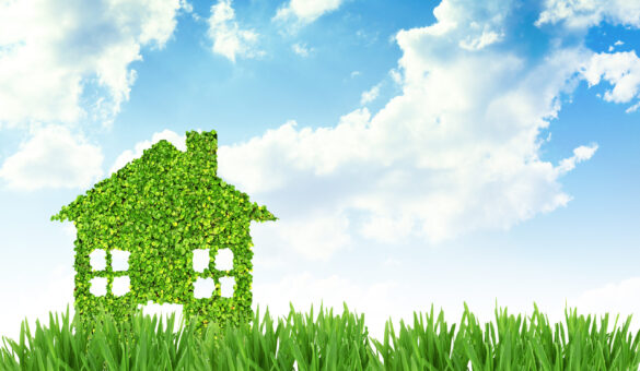 House-shaped sculpture covered in green leaves sits in tall grass under a blue sky.