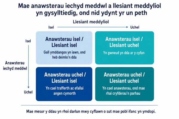 Diagram pedwar blwch sy'n dangos y gall pobl ifanc gael anawsterau iechyd meddwl isel neu uchel a llesiant isel neu uchel. Dangosir llesiant ar draws y brig o isel i uchel, a dangosir anawsterau iechyd meddwl i lawr yr ochr chwith o isel i uchel. Mae'r pedwar blwch yn dangos: anawsterau isel gyda llesiant isel; anawsterau isel gyda llesiant uchel; anawsterau uchel gyda llesiant isel; ac anawsterau uchel gyda llesiant uchel. Mae'r ffigur yn dangos bod anawsterau a llesiant yn gysylltiedig, ond nid yr un peth, a bod mesur y ddau yn rhoi darlun mwy cyflawn o sut mae pobl ifanc.
